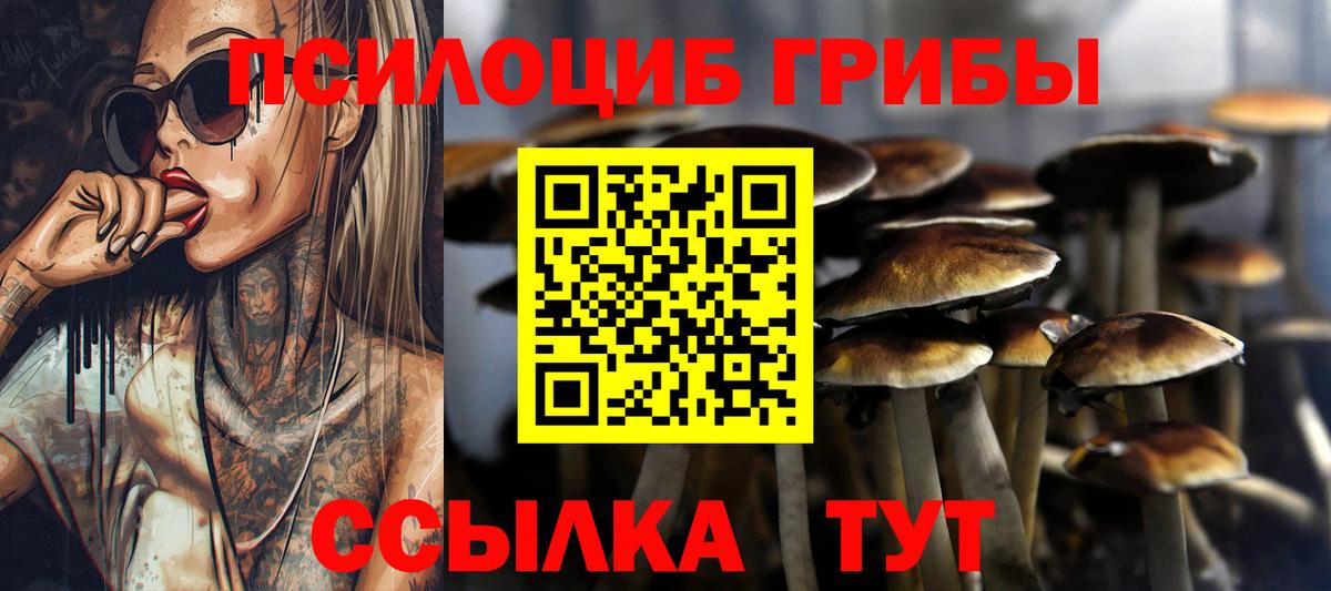 Псилоцибиновые грибы прущие грибы  Вход с VPN  Альметьевск  Галлюциногенные грибы Psilocybine cubensis 